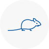 Mice Exterminators In Hertsmere